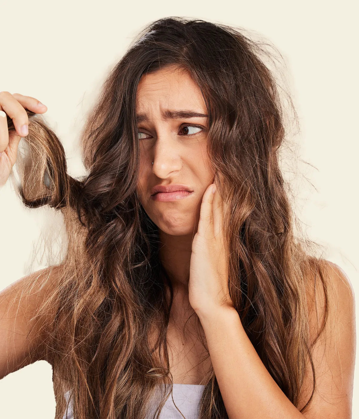 best dry hair shampoo and conditioner