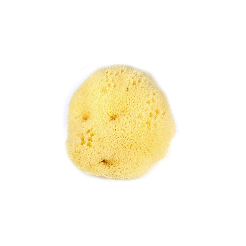 Silk Sea Sponge - Seek Bamboo