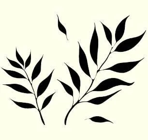 charcoal and tea tree conditioner