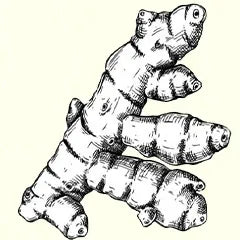 icon depicting turmeric in shampoo