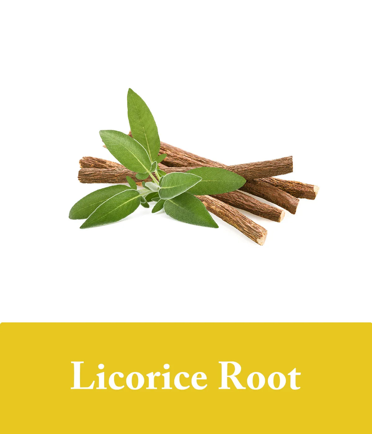 turmeric shampoo with licorice root
