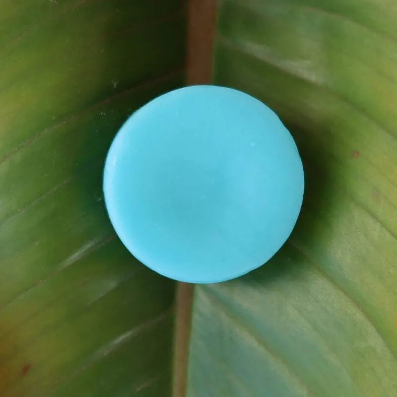 seaweed conditioner on a leaf