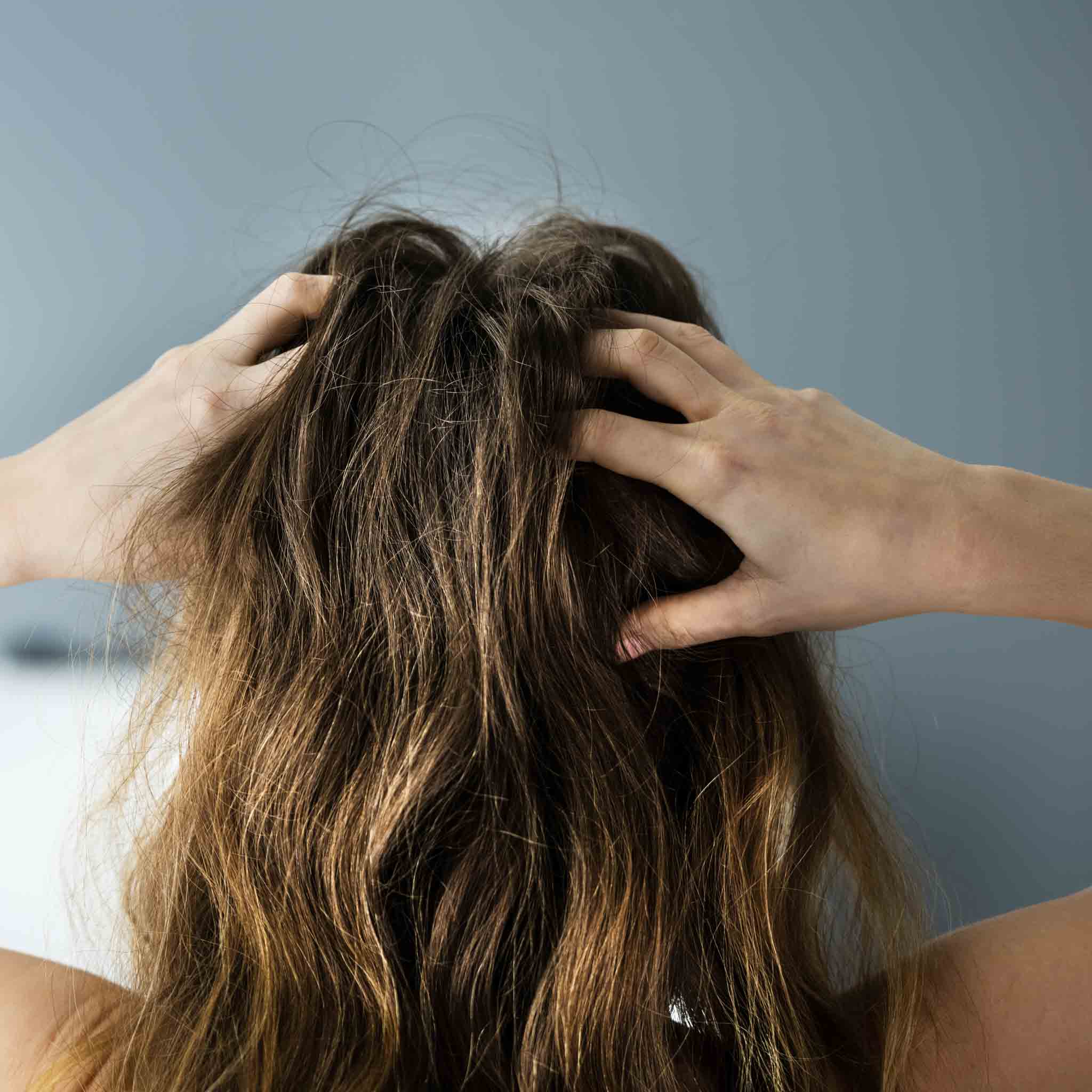 The Best Shampoo For Dry Scalp is from seek bamboo