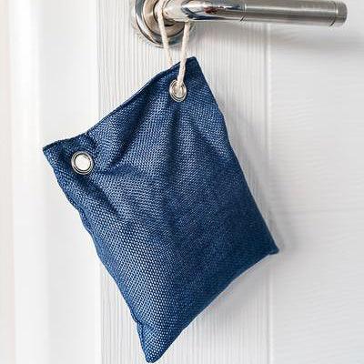 Charcoal Bags for Mold