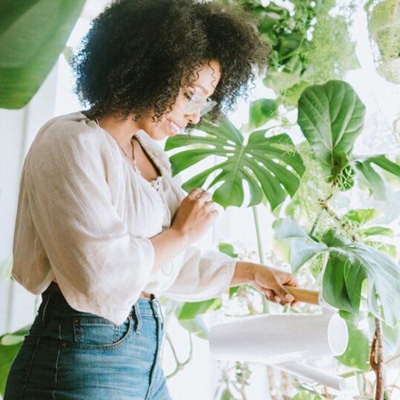 Eco-Friendly Gift Ideas