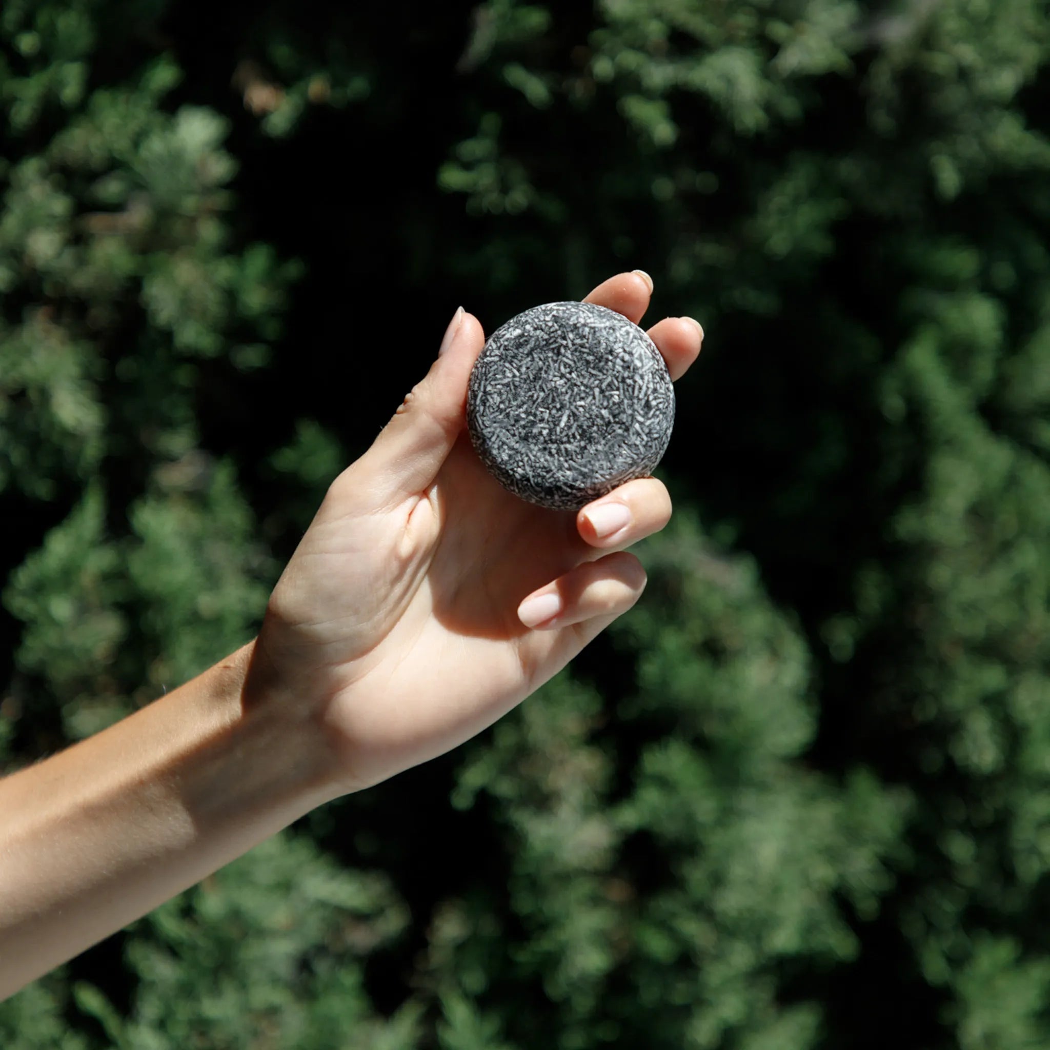 a natural shampoo bar with a forest background showing an alternative to ingredients to avoid in shampoo