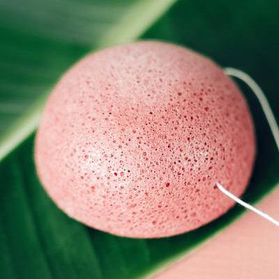 What is a Konjac Sponge