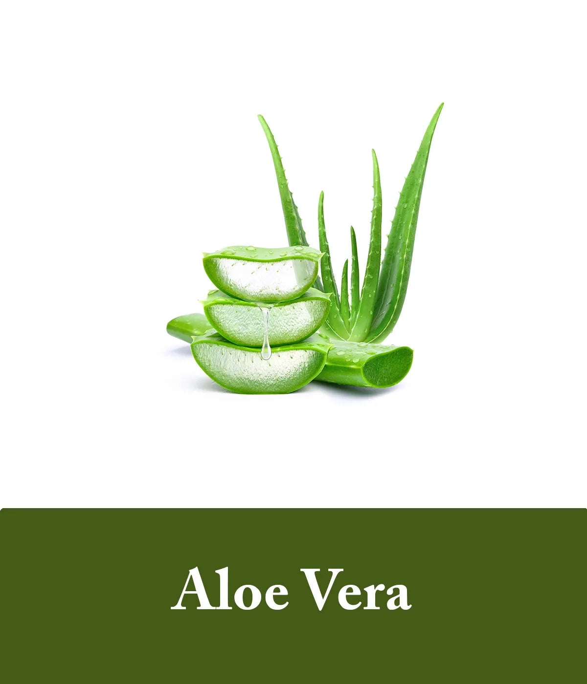 Aloe Vera Unscented Shampoo Bar