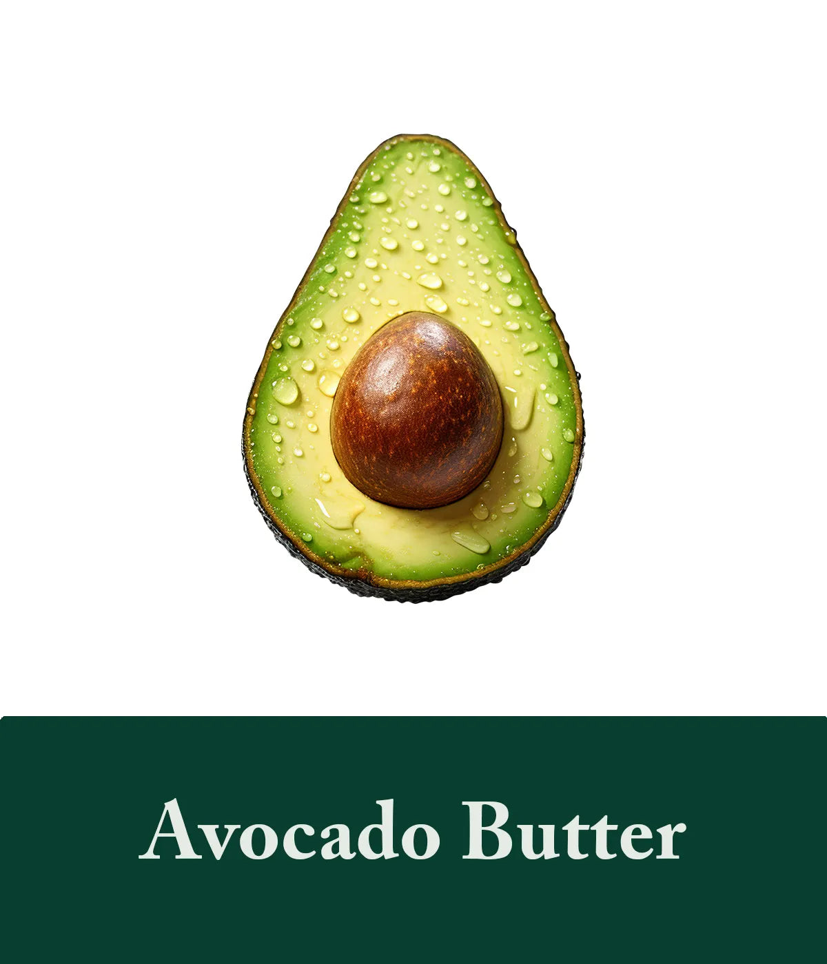 Avocado Butter In Rosemary Shampoo