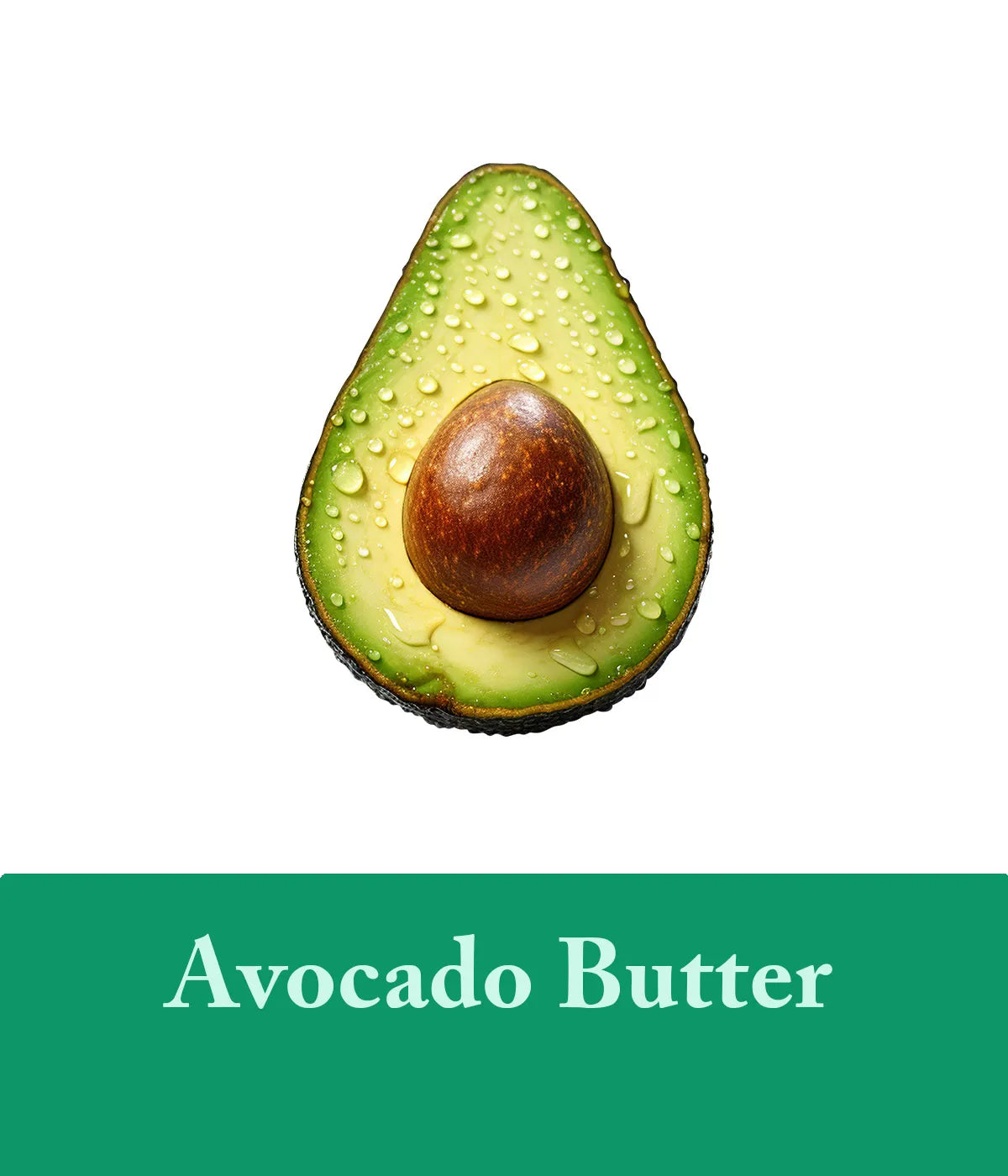 Avocado Butter In Tea Tree Shampoo