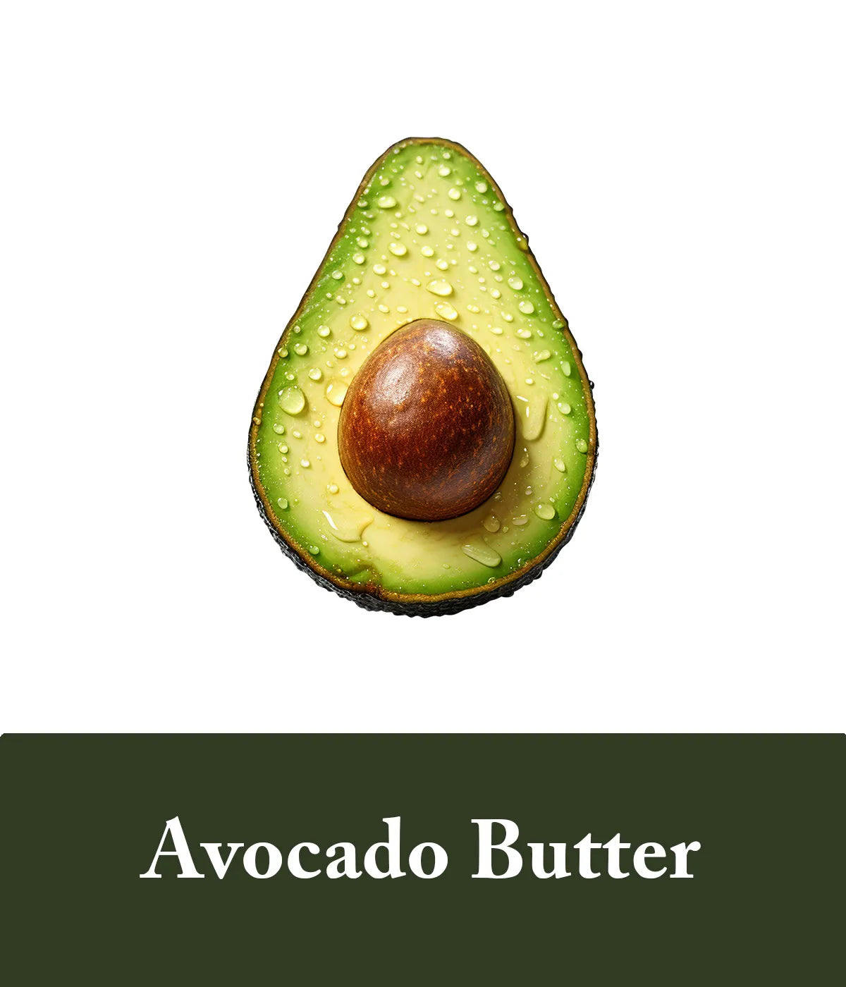 Avocado Butter Rice Water Protein Ingredient