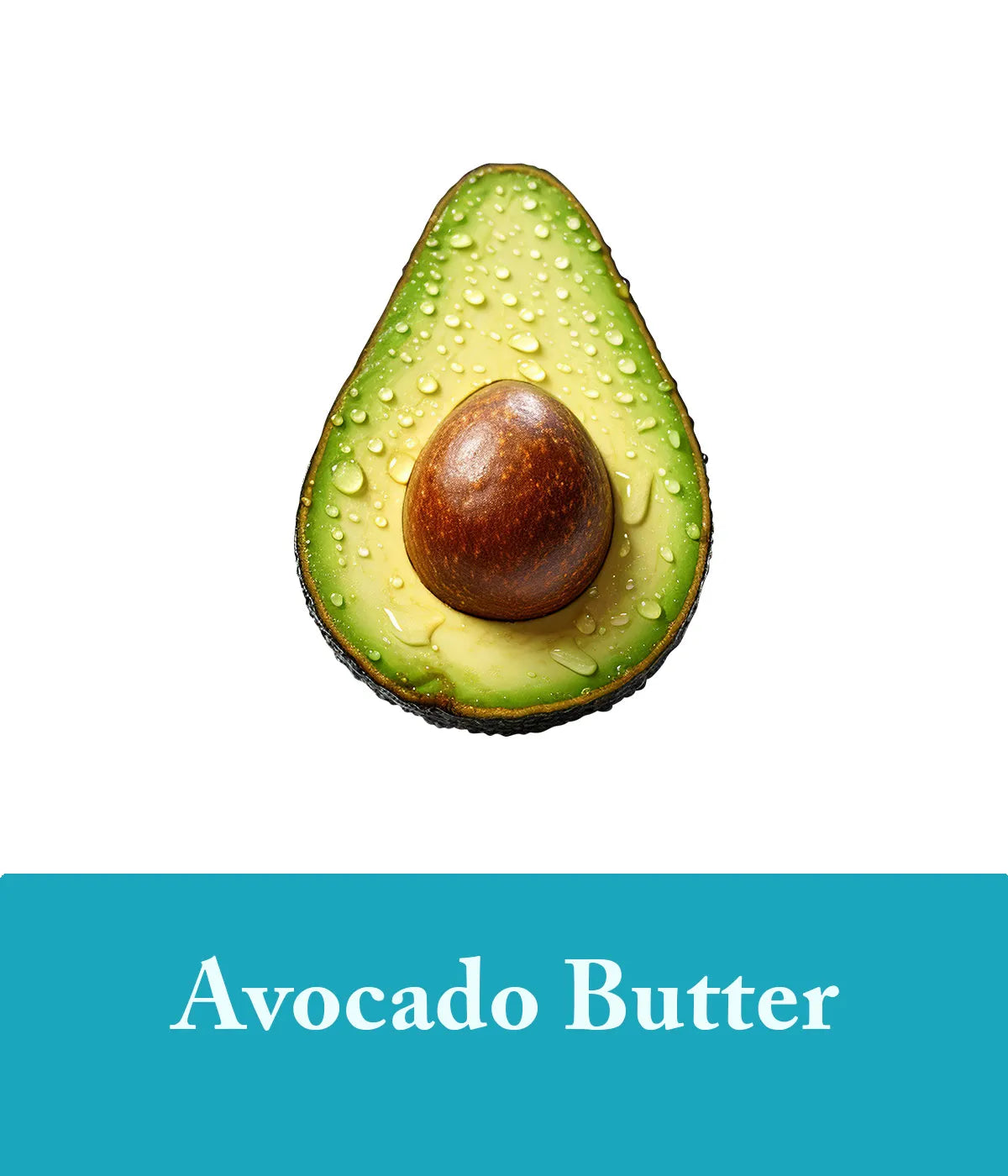 Avocado Butter Seaweed Shampoo