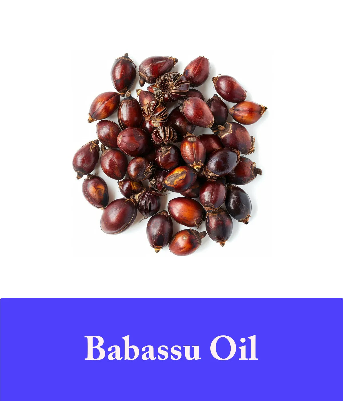 Lavender and babassu oil shampoo