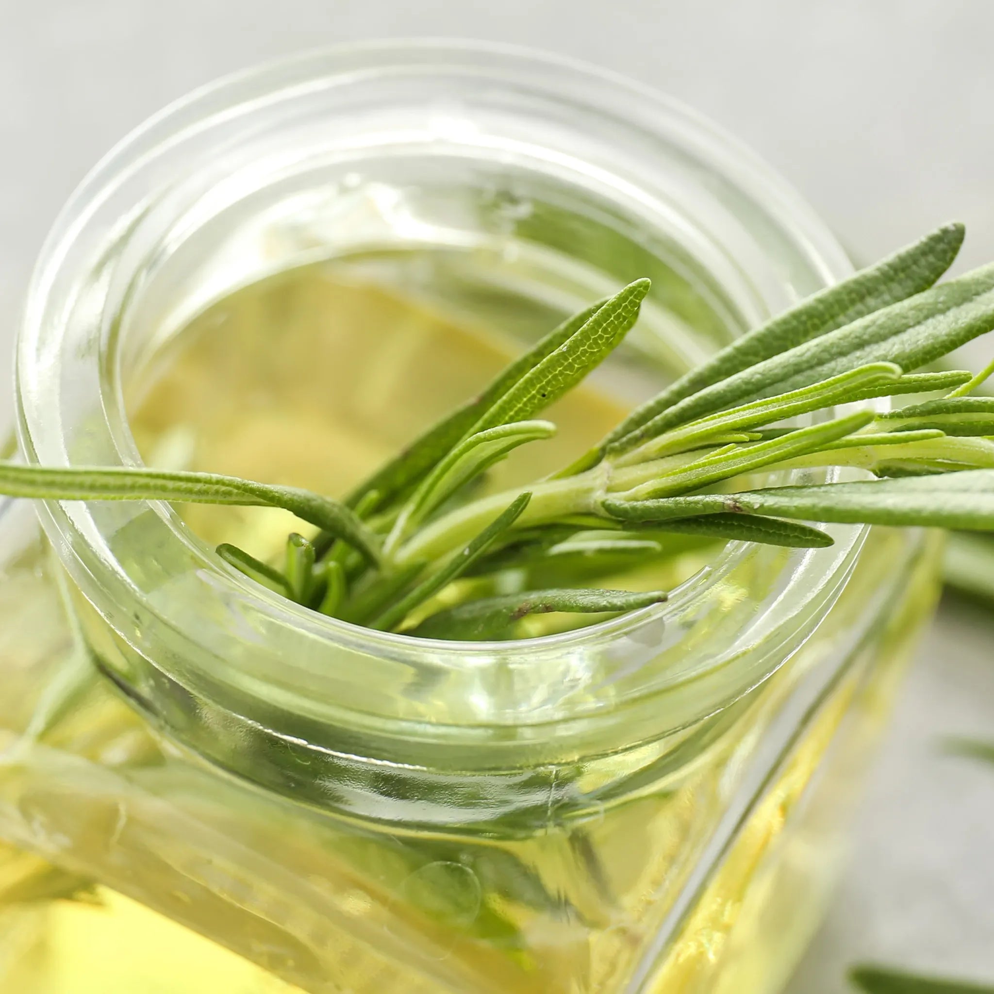 Benefits of rosemary for hair