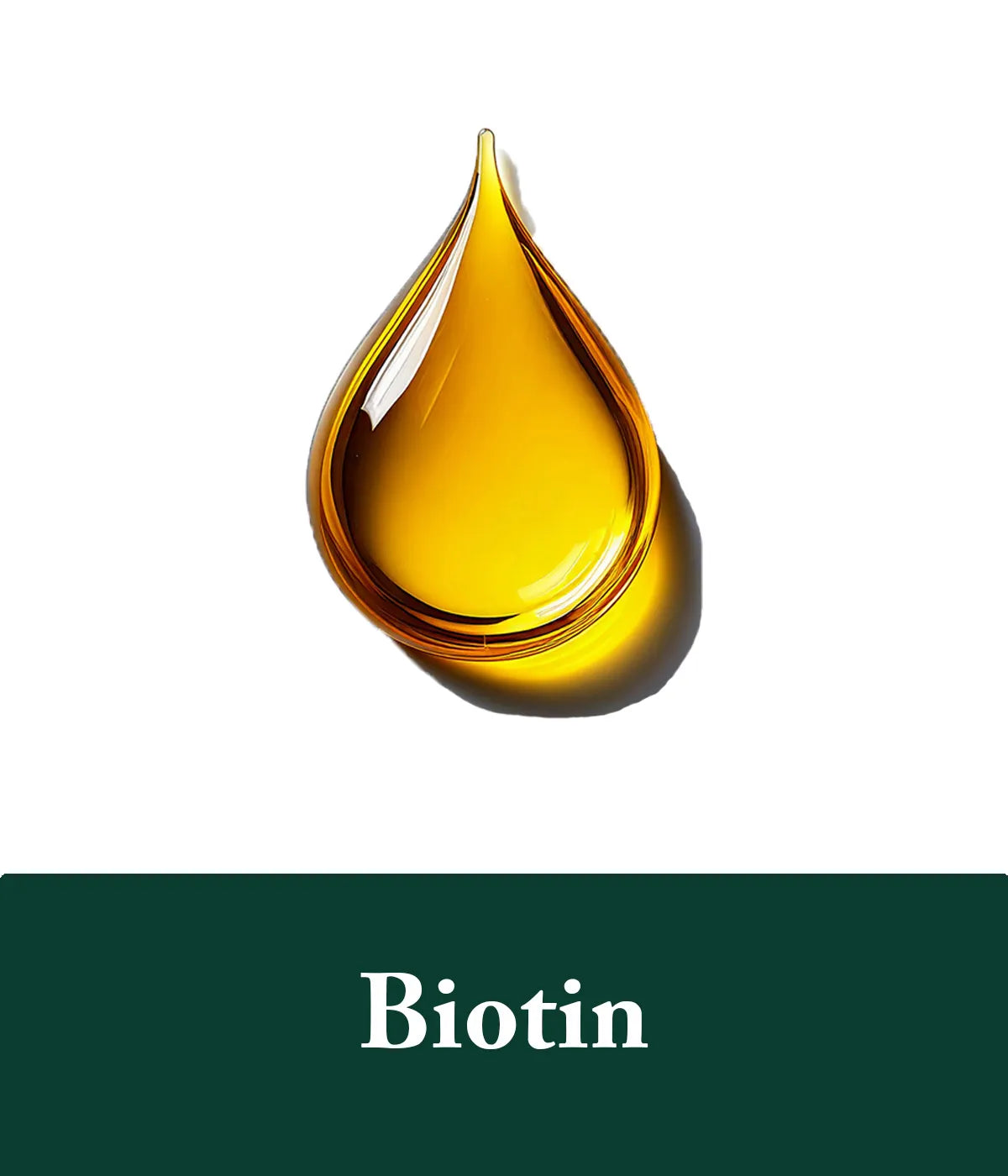 Biotin Rosemary Shampoo