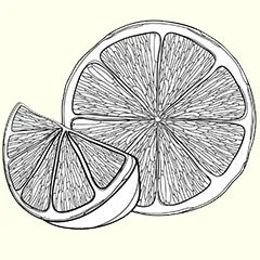 citrus conditioner icon