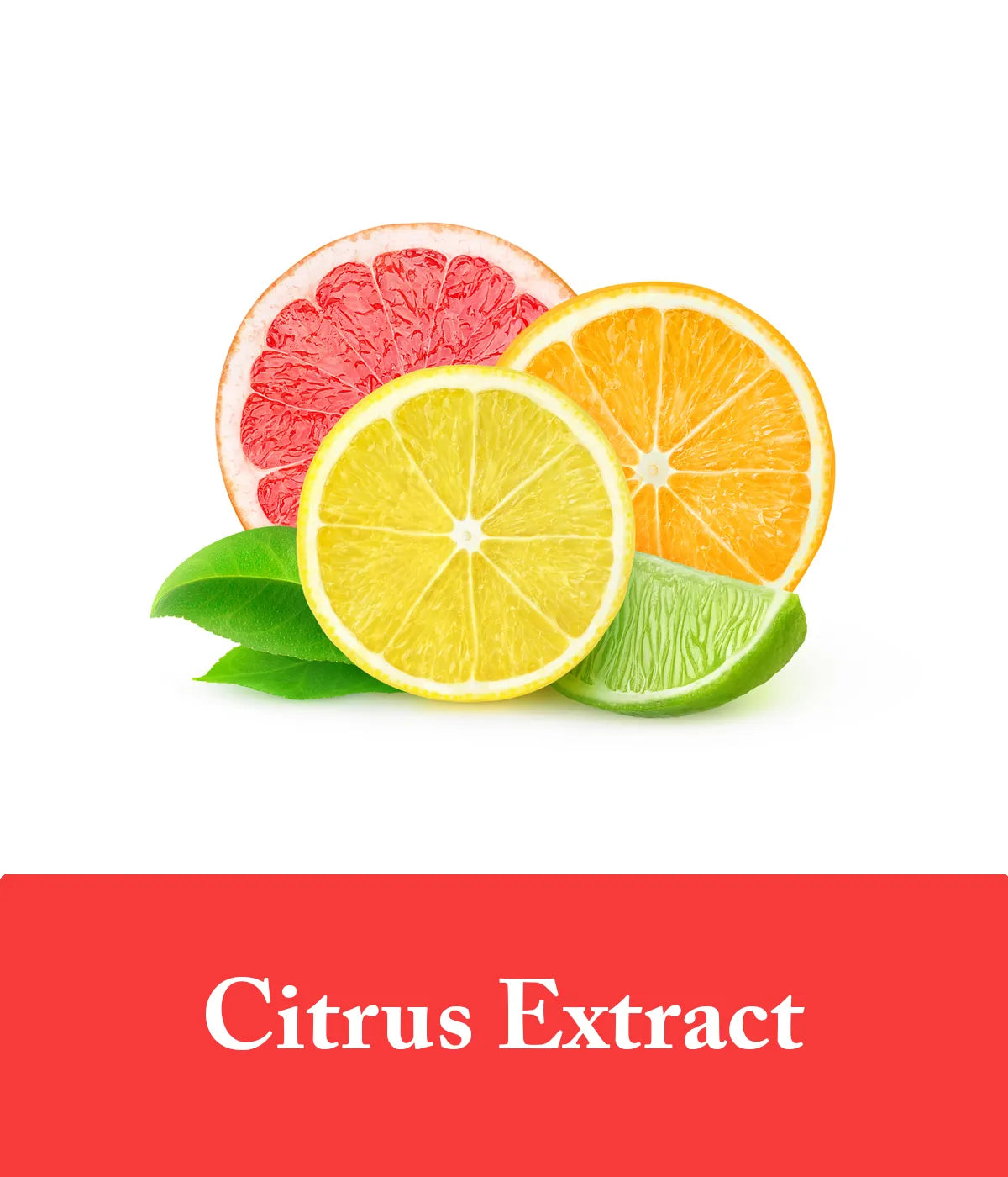 Citrus Extract Ingredient