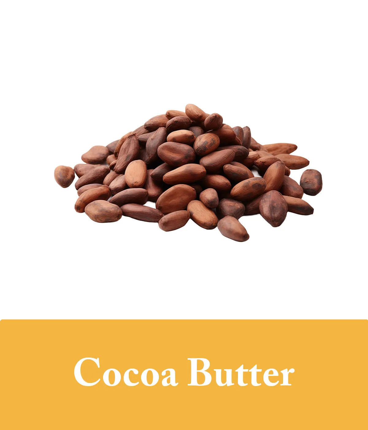 citrus and cocoa butter conditioner