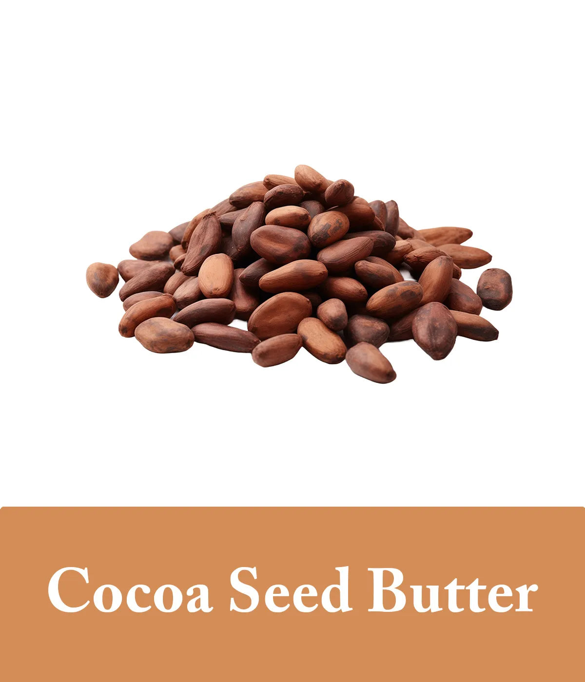 coconut and cocoa seed butter conditioner