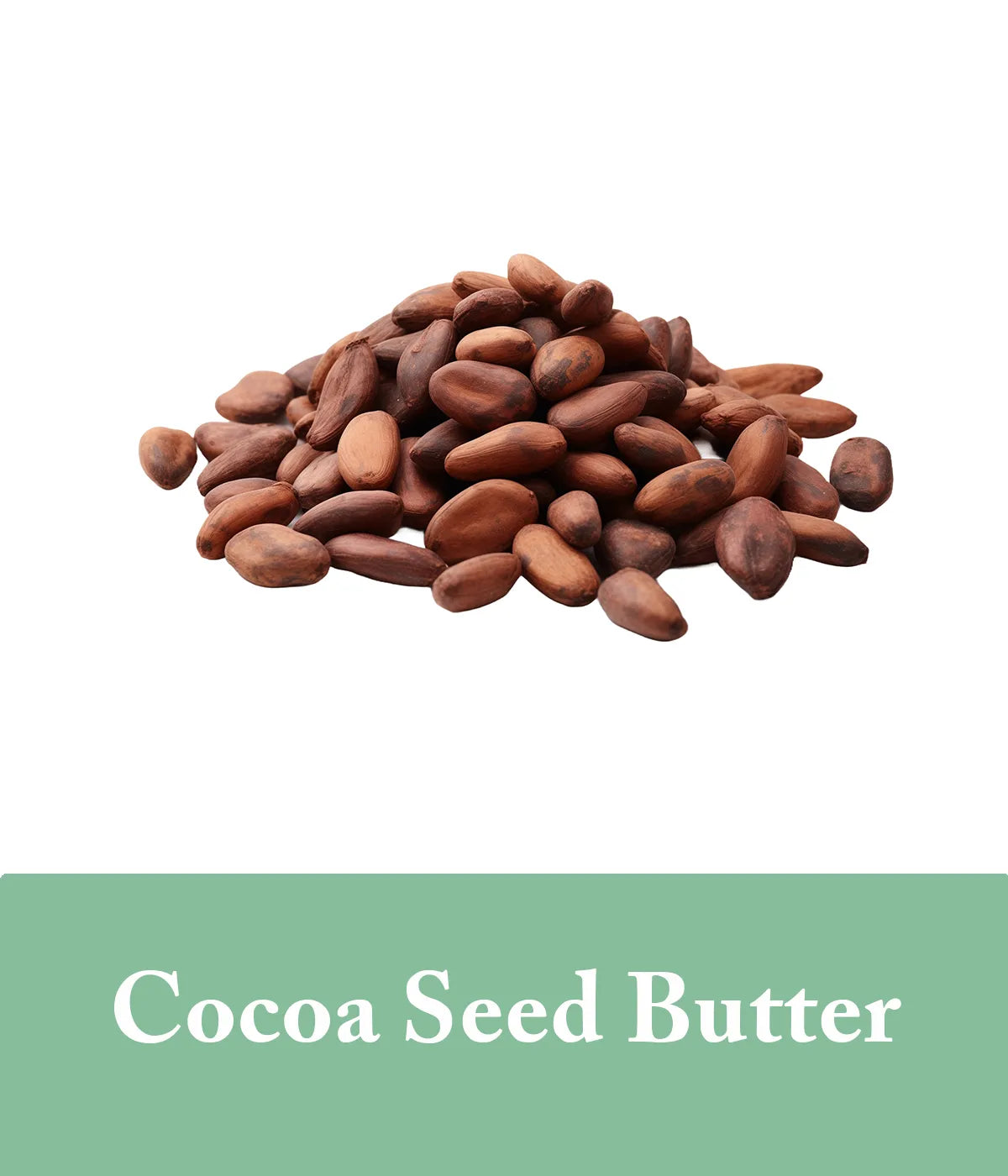 Cocoa Seed Butter For Shampoo Bars