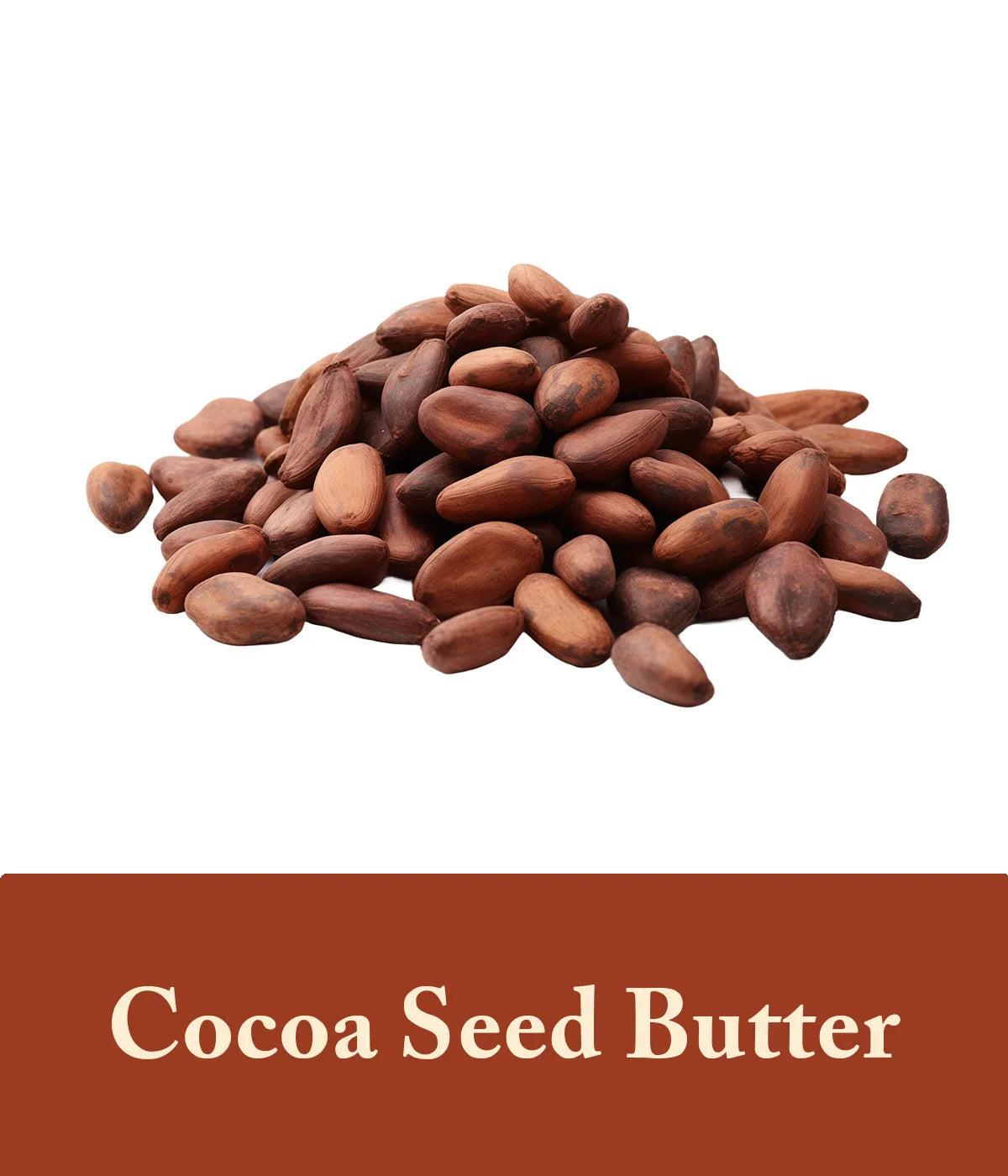 Cocoa Seed Butter Honey Soap Ingredient