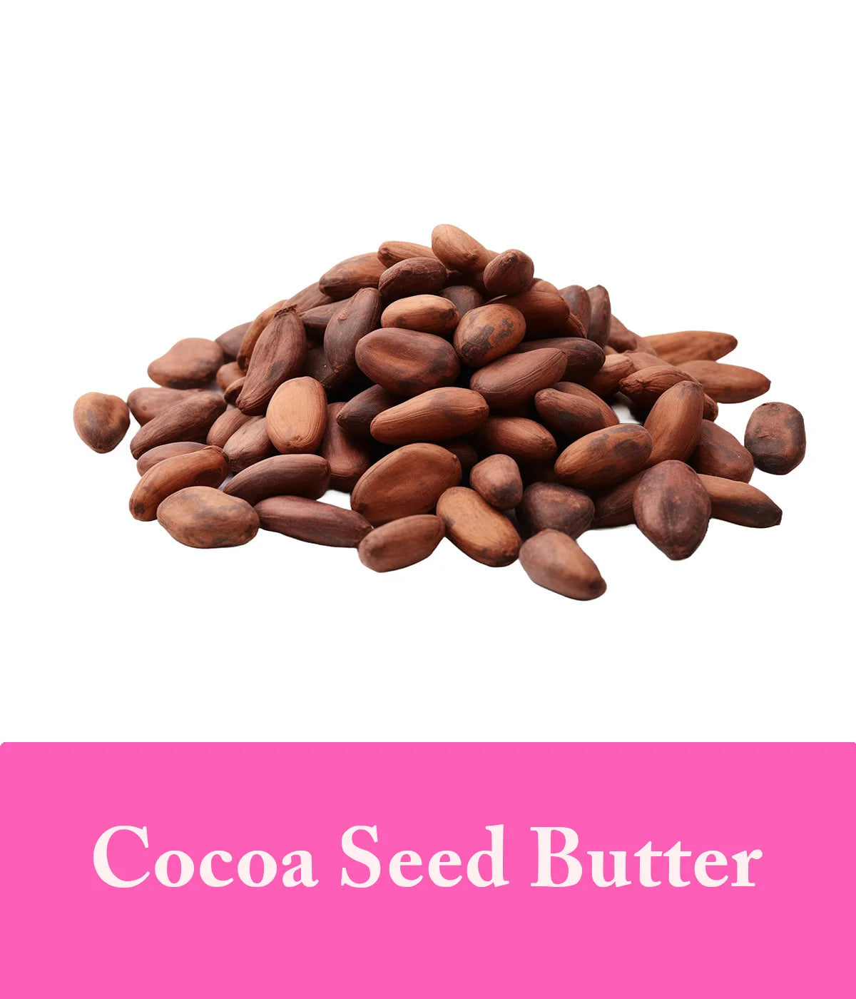 Cocoa Seed Butter In Rose Shampoo