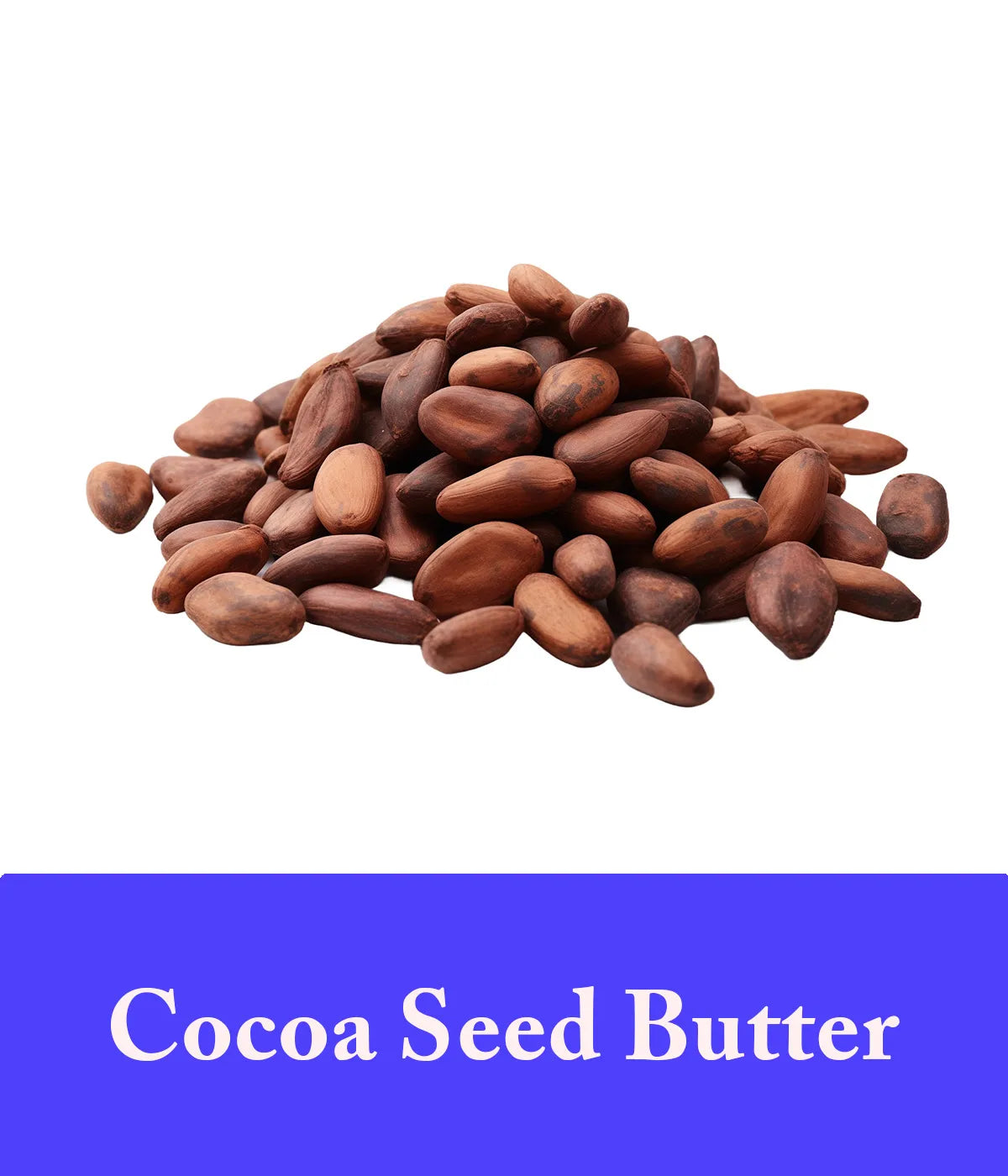 Cocoa Seed Butter Lavender Soap Ingredient