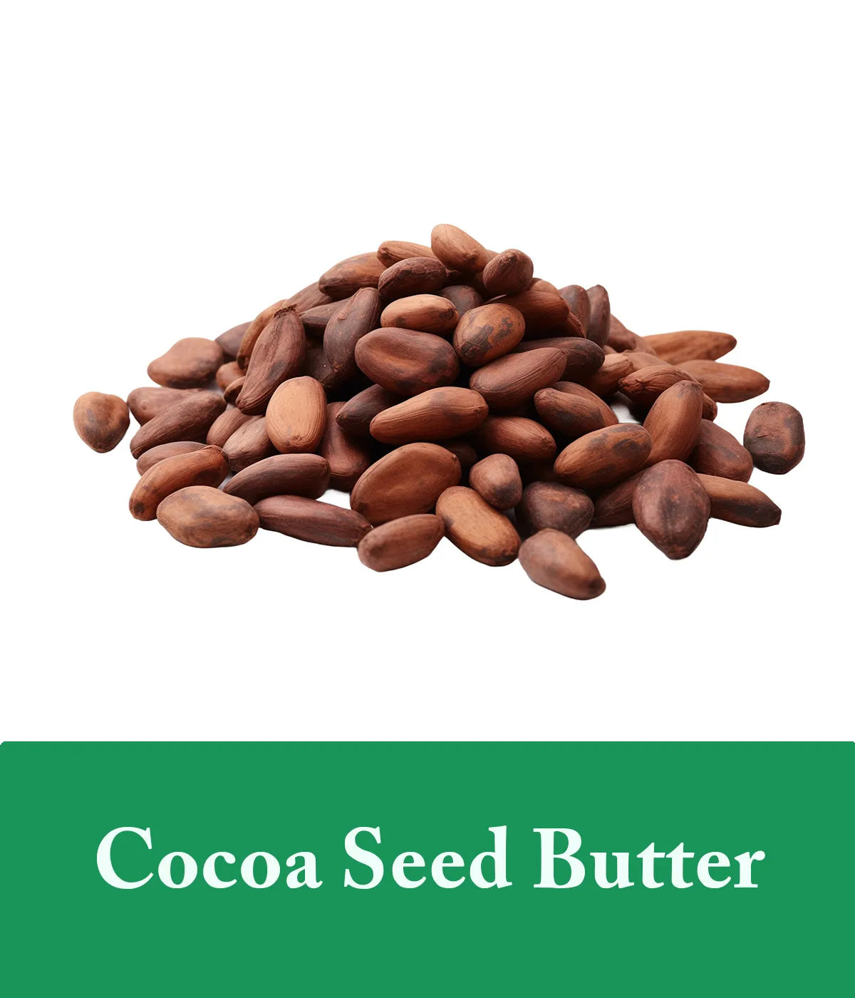 Cocoa Seed Butter Mint Shampoo