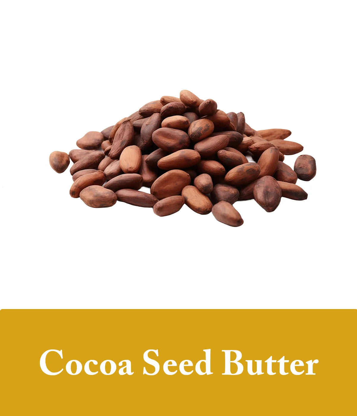 Cocoa-Seed-Butter-Vanilla-Shampoo