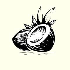 icon for coconut which is used in our coconut conditioner bar