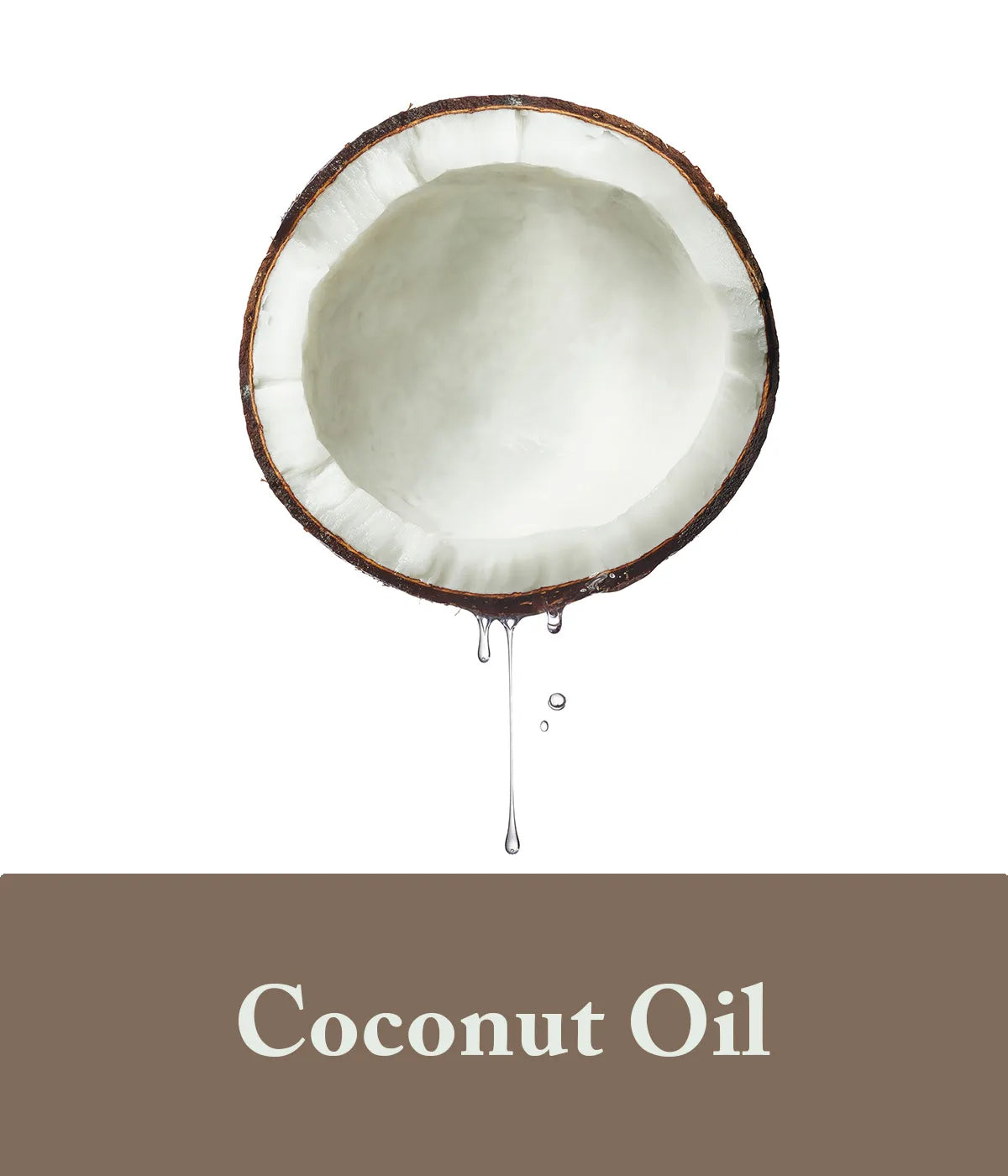 Coconut Oil Goats Milk Ingredient 