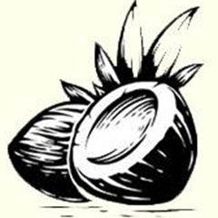 icon for coconut which is used in our coconut conditioner bar