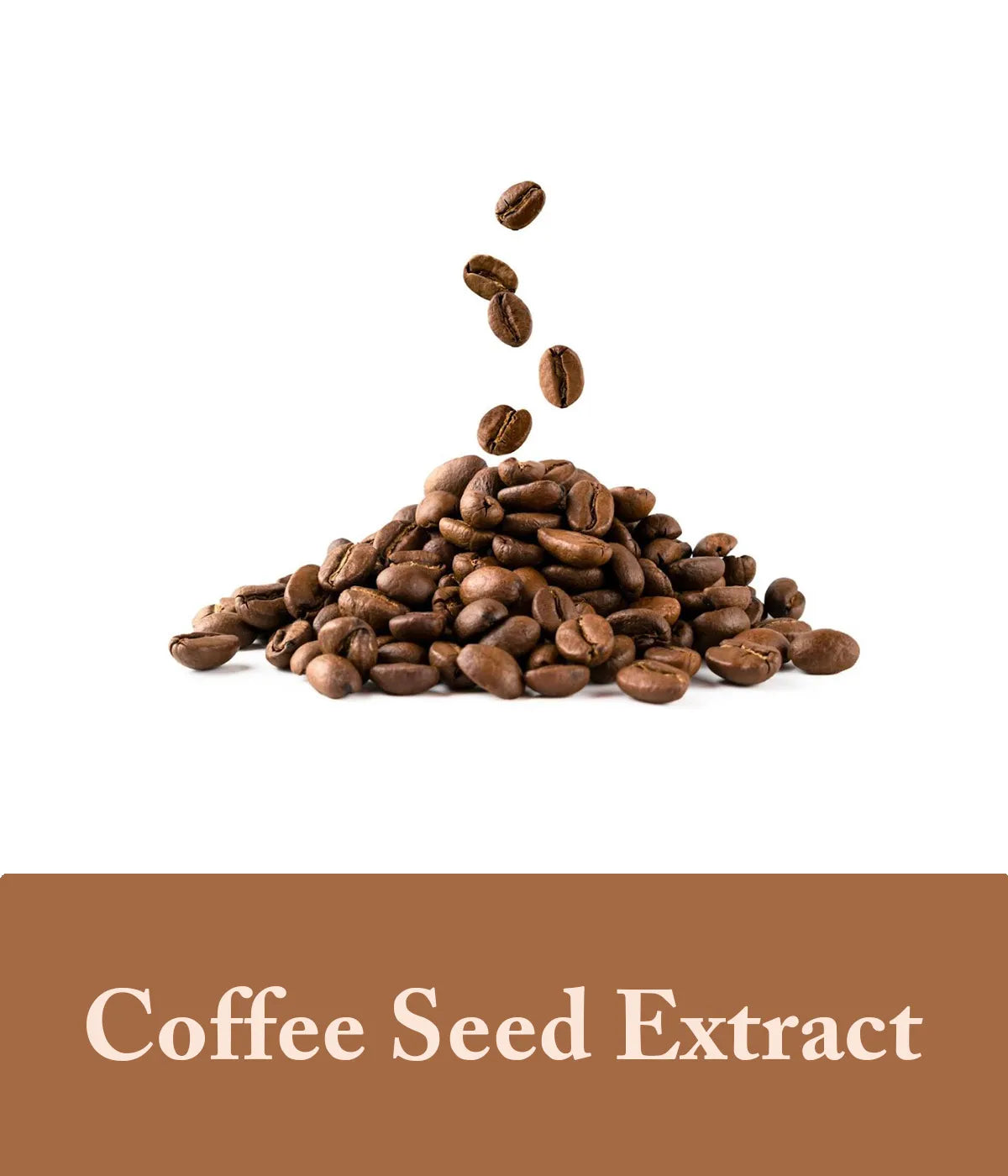 Coffee Soap Ingredient - Coffee Seed Extract