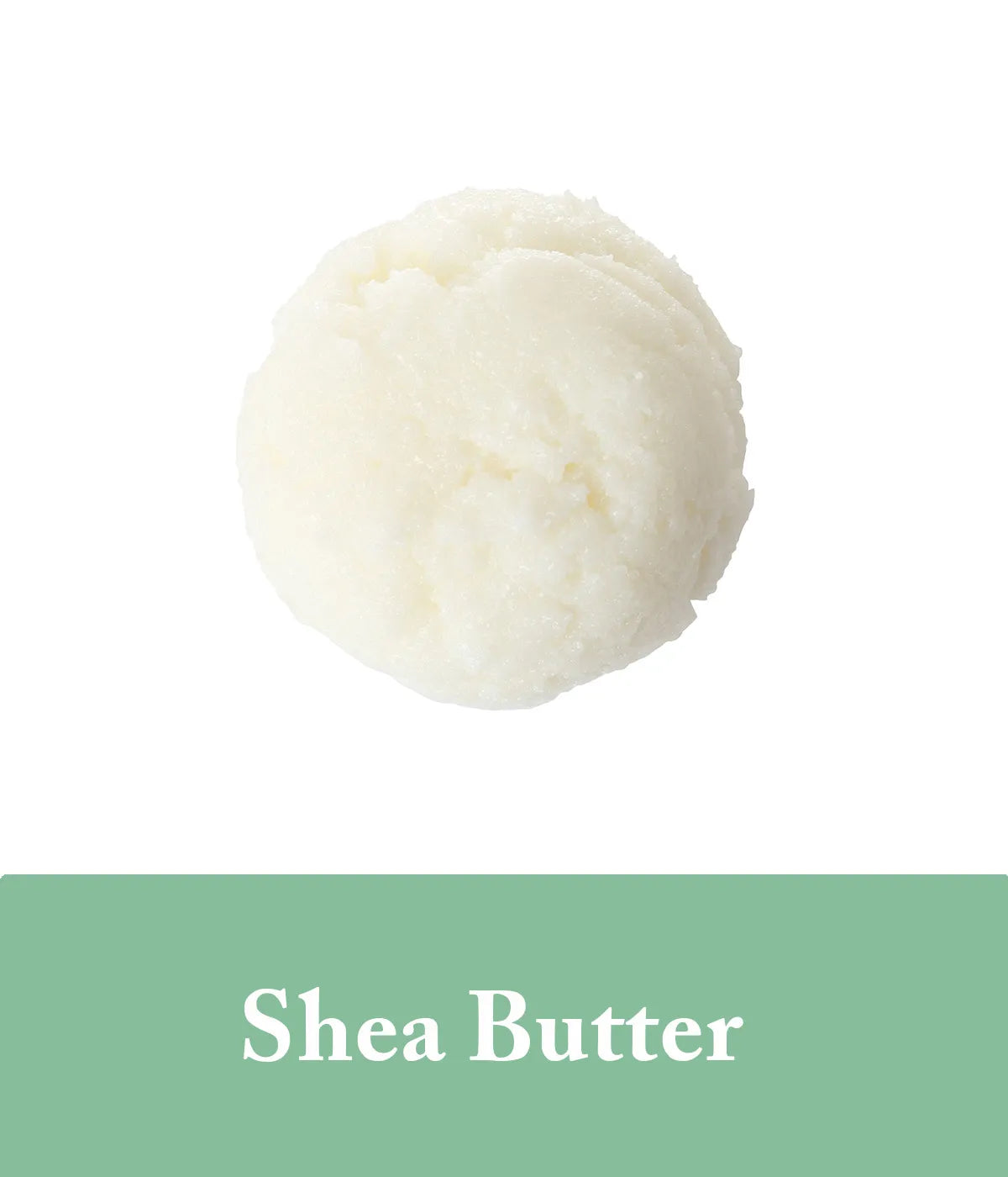 shea butter in eucalyptus shampoo by seek bamboo