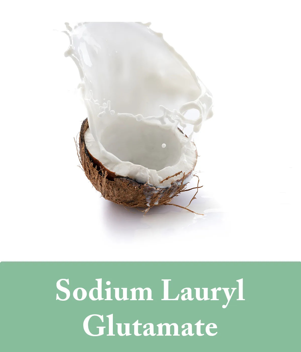 sodium lauryl glutamate - eucalyptus shampoo