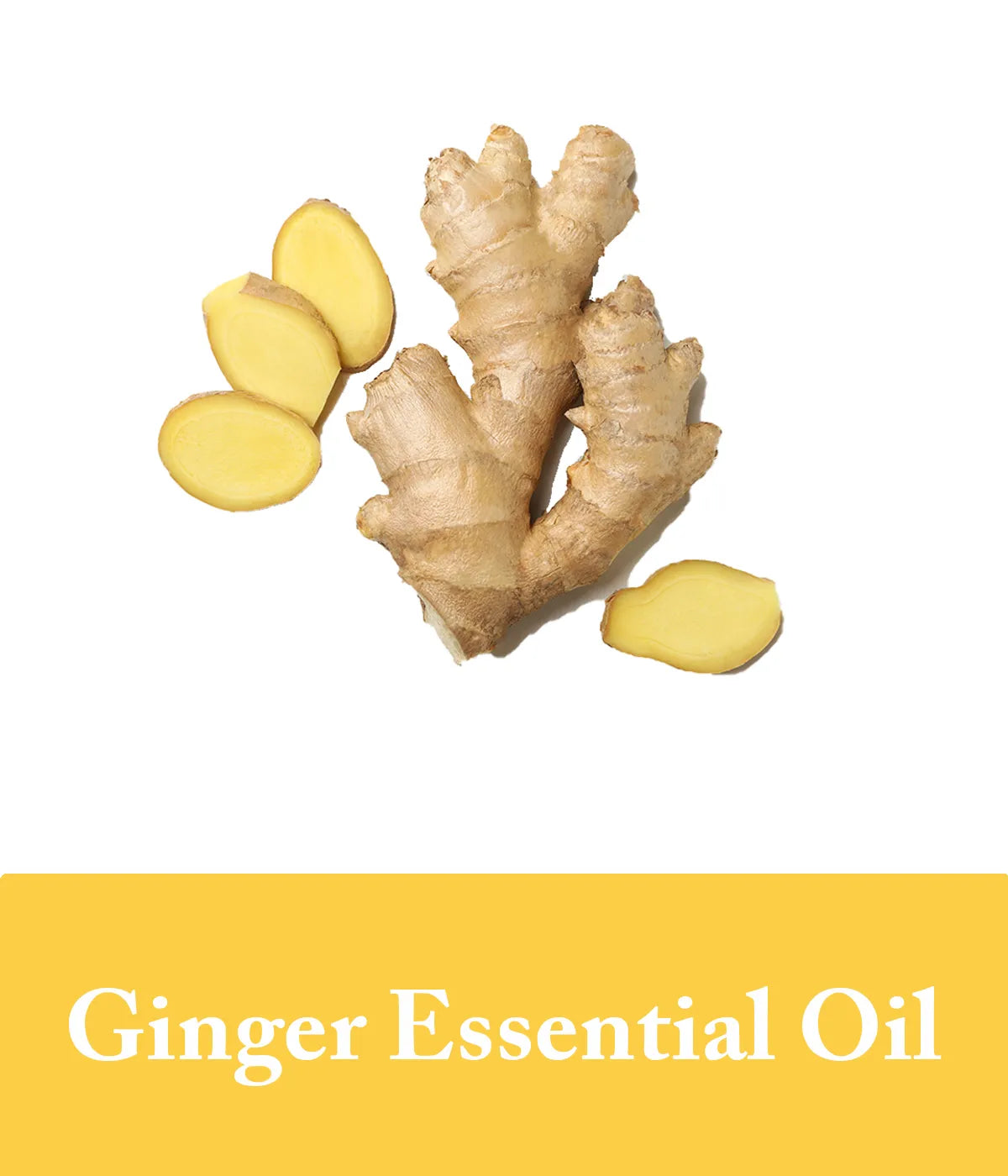 Ginger Essential Oil For Shampoo