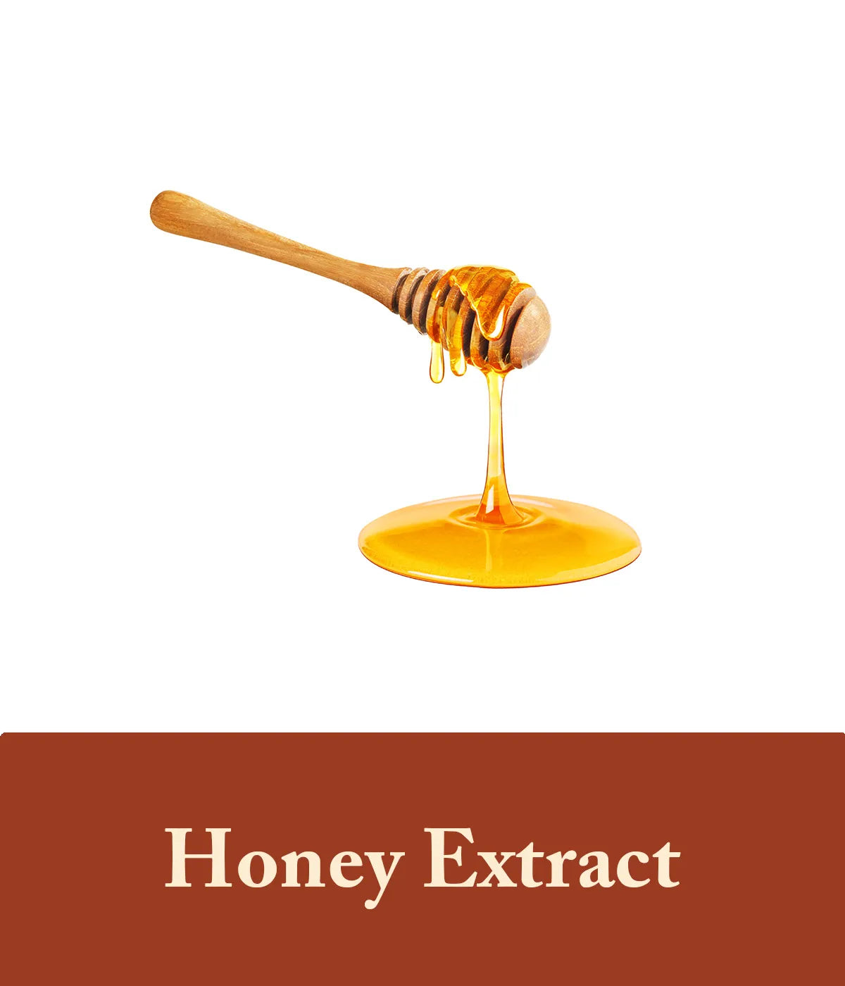 Honey Extract In Honey Body Soap