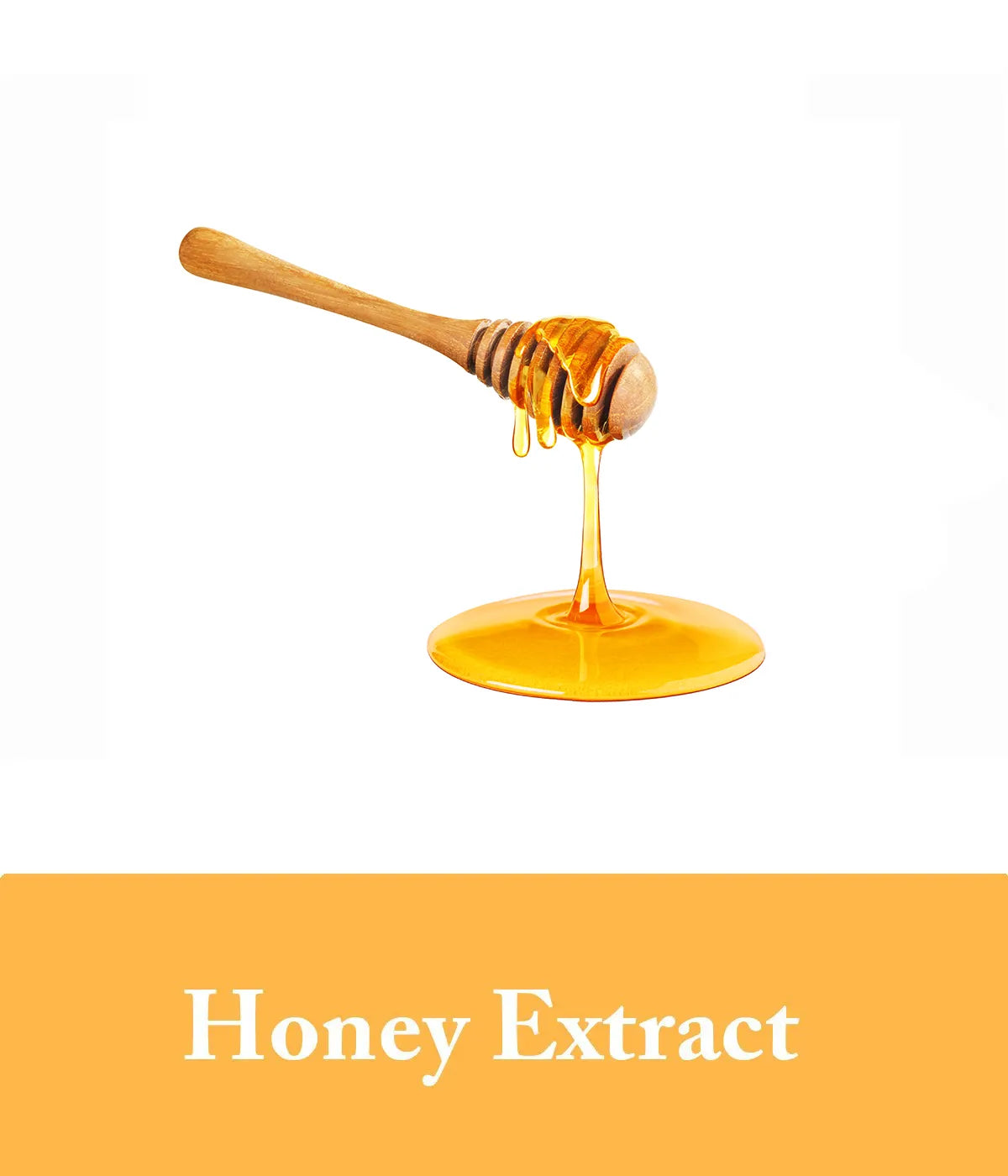 honey extract in seek bamboo honey shampoo