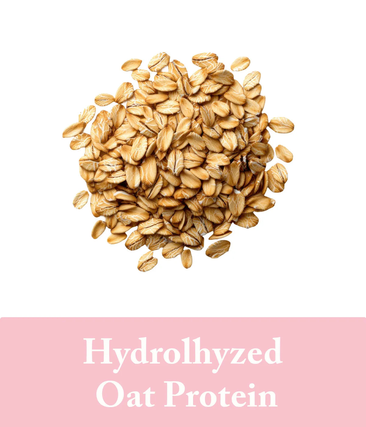 Hydrolhyzed Oat Protein