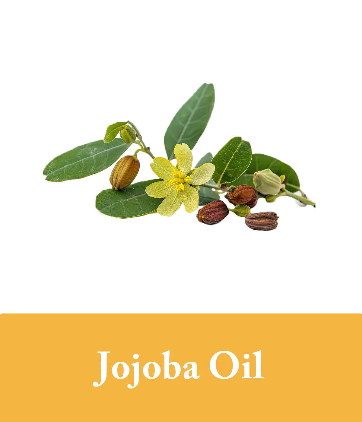 citrus and jojoba oil conditioner bar