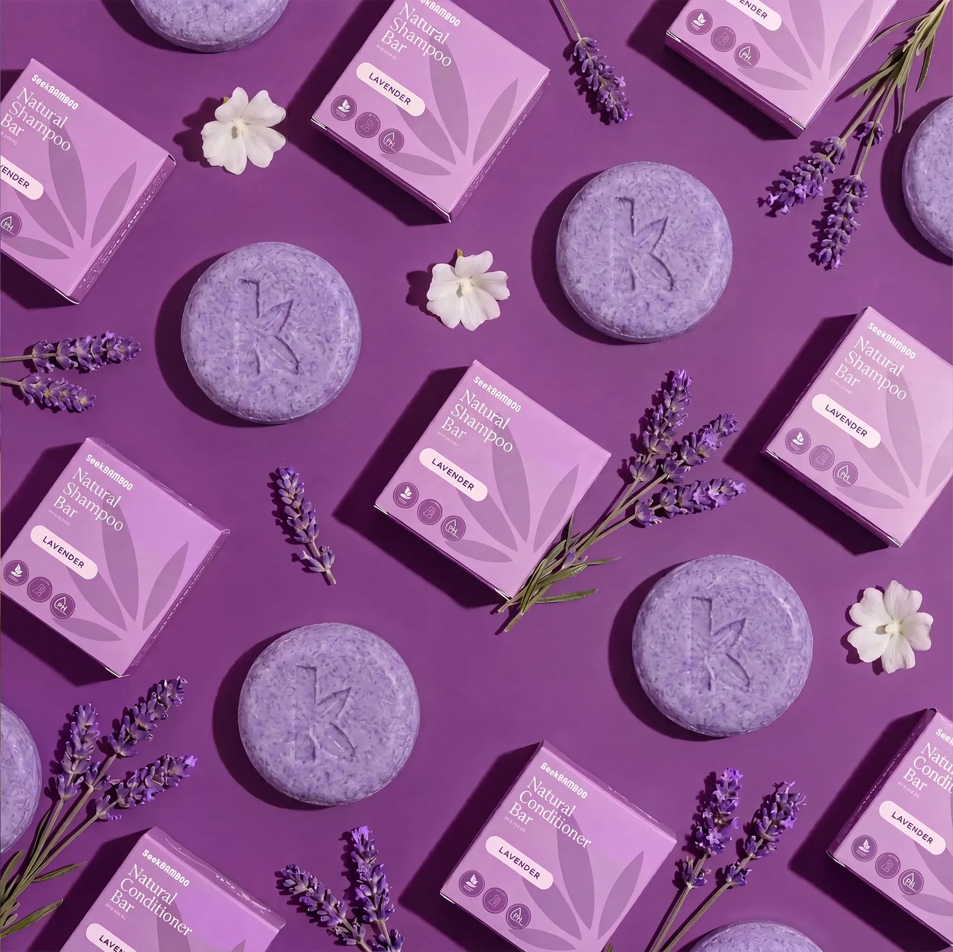 Lavender shampoo bars and boxes with lavender flowers on a purple background