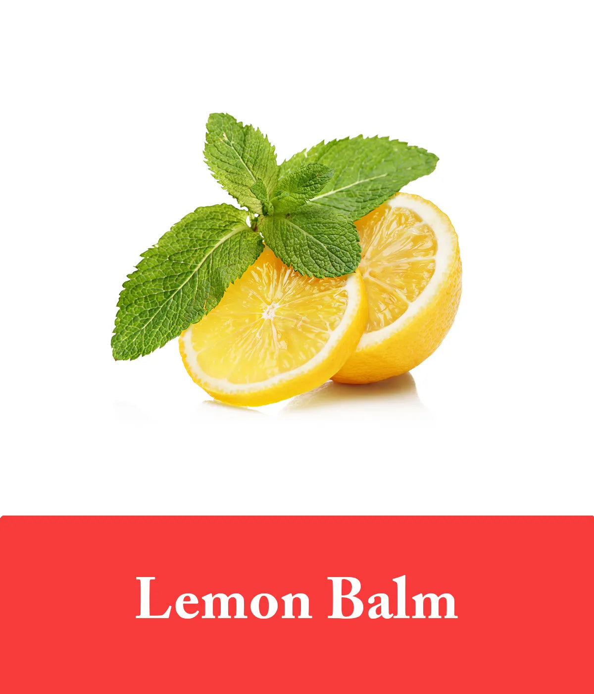Lemon Balm Ingredient