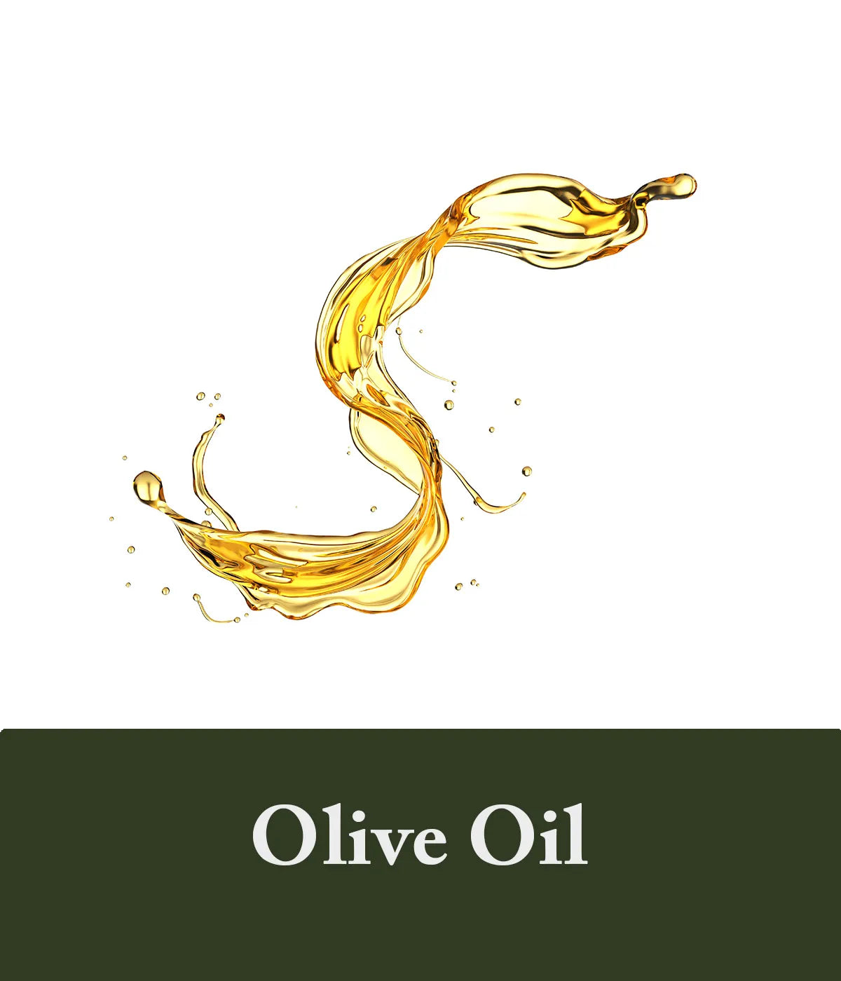 Olive Oil Polygonum Shampoo