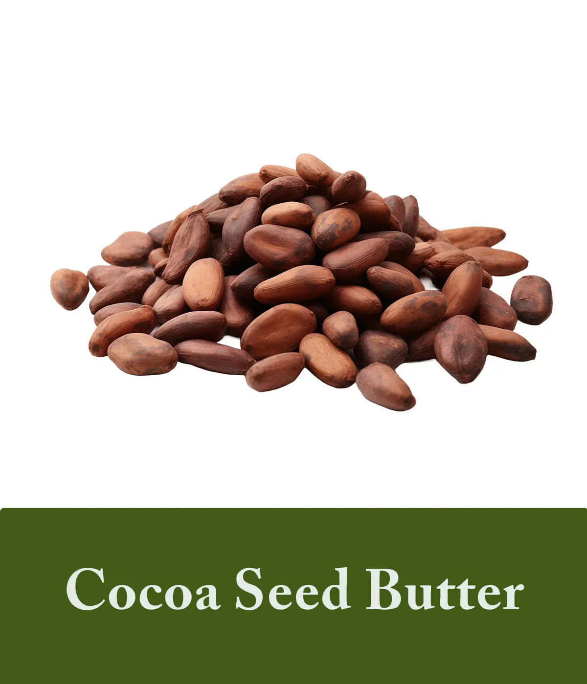 Olive Oil Shampoo Ingredient Cocoa Seed Butter