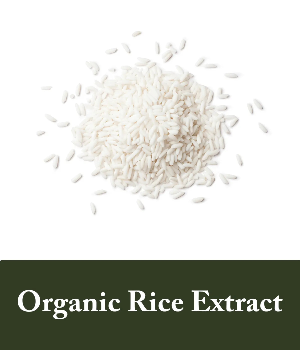 Organic Rice Extract in Rice Shampoo Bars