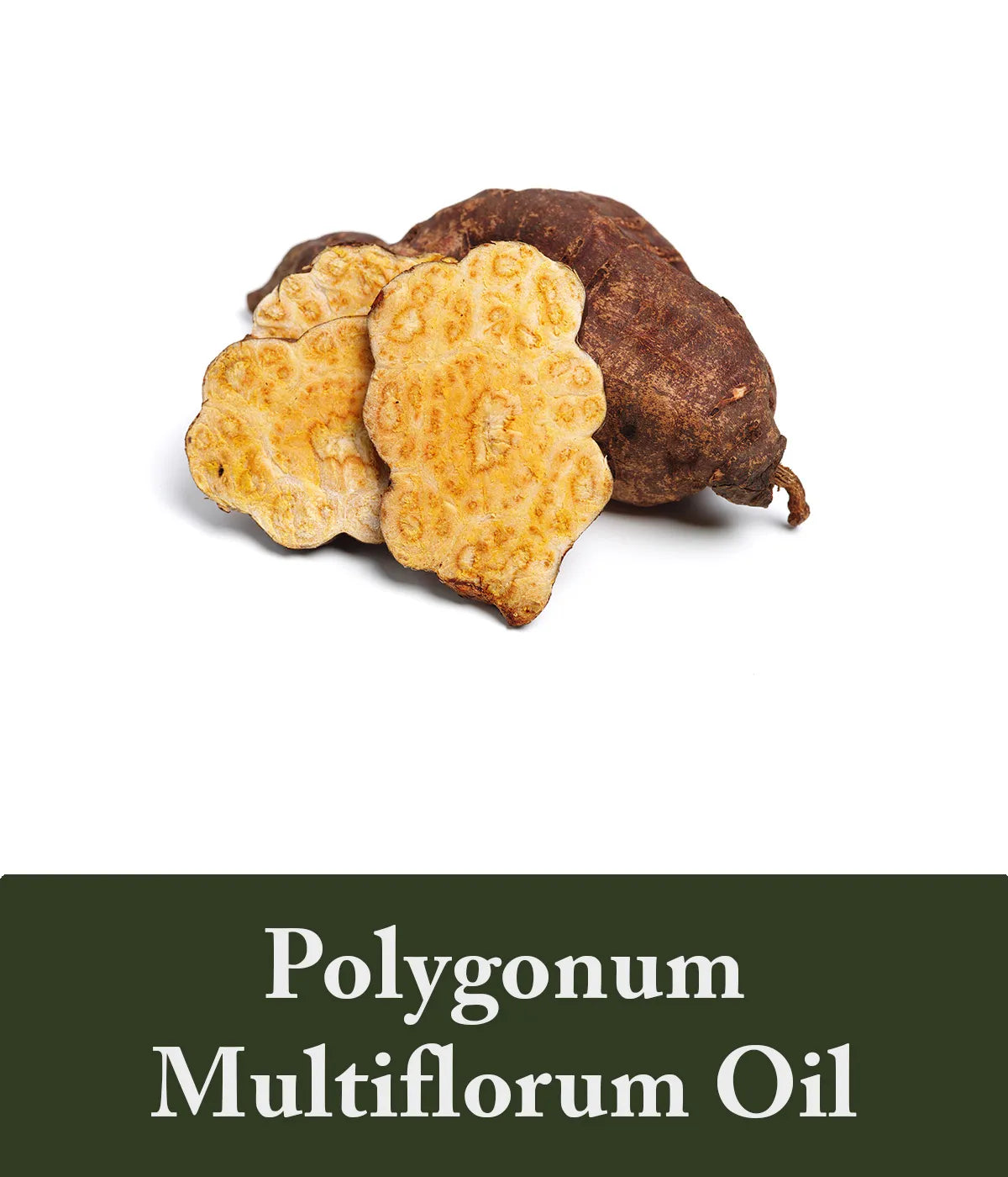 Polygonum Multiflorum Oil Shampoo