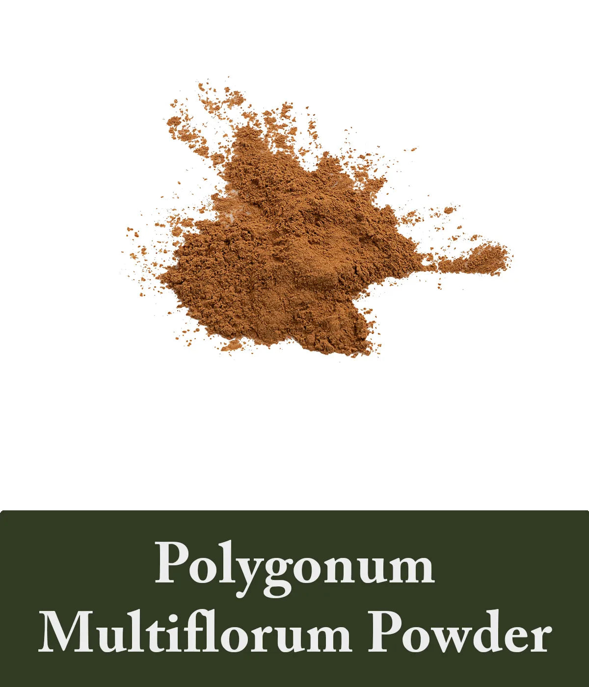 Polygonum Shampoo Multiflorum Powder