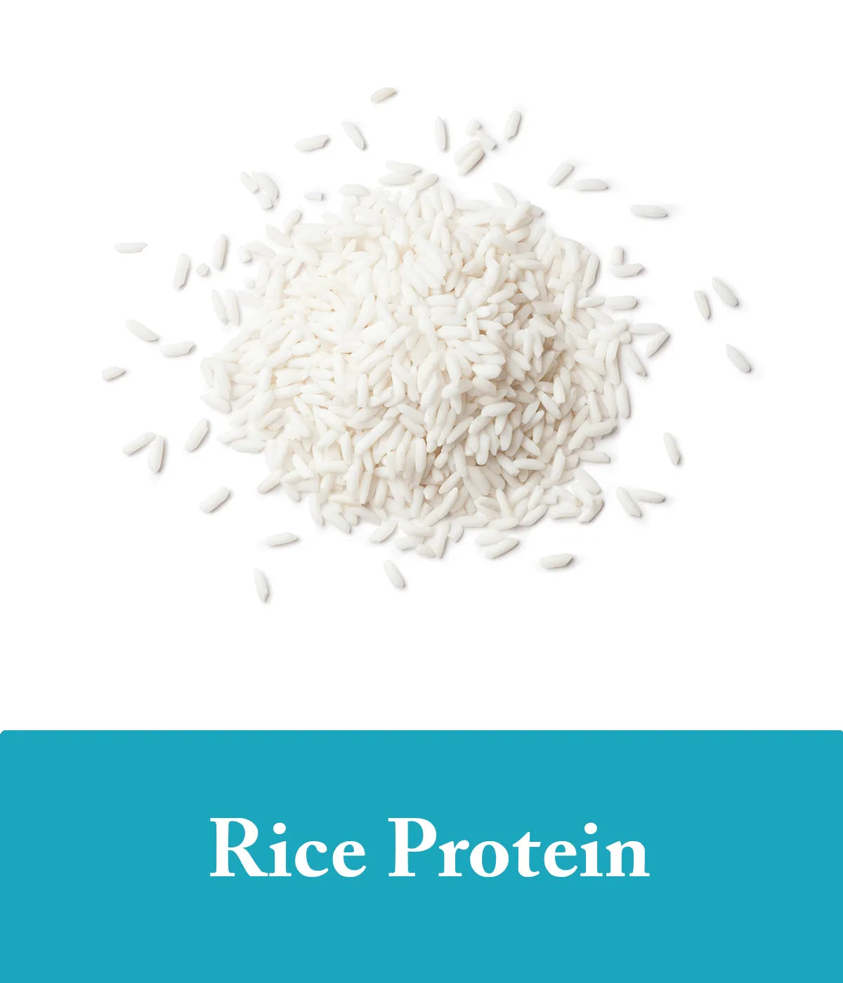 hydrolyzed rice protein