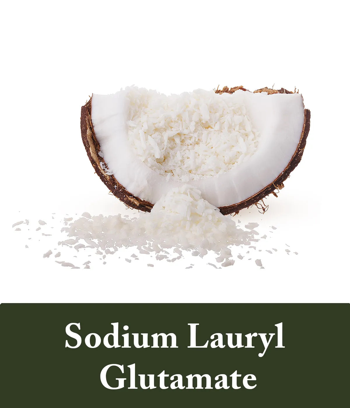 Rice Protein Sodium Laurly Glutamate