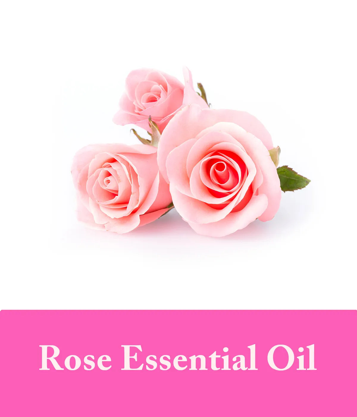 Rose Essential Oil Shampoo Bar